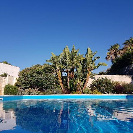 Villa Karmarea Mola di Bari Eksteriør billede